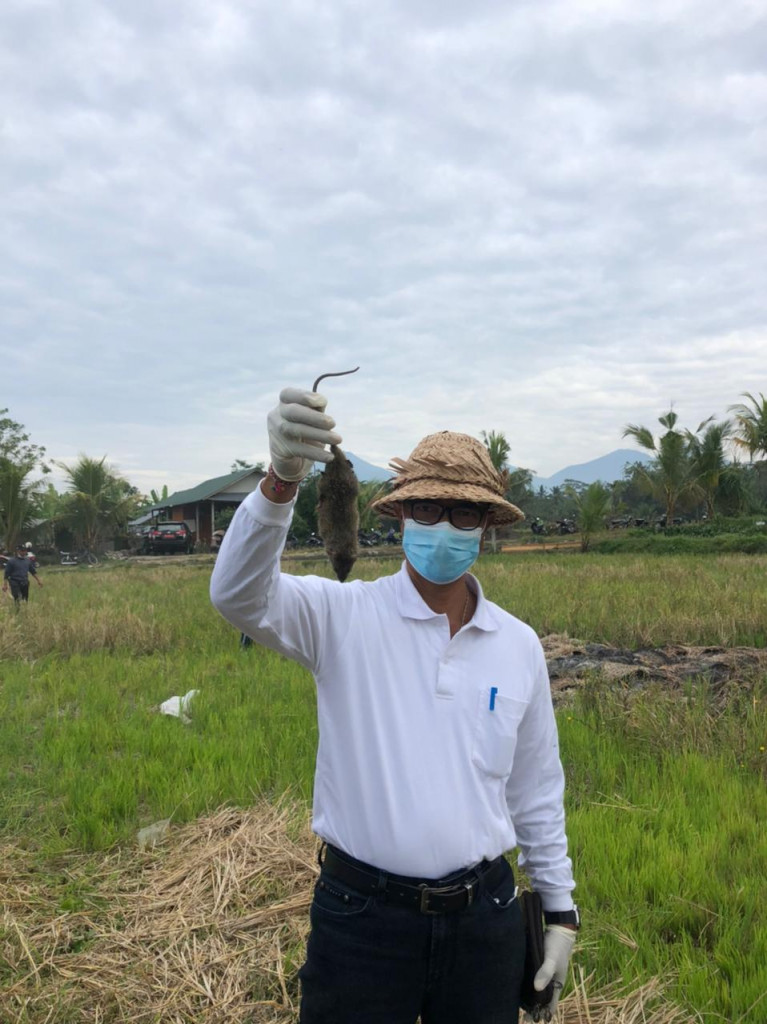 KA. DIPERPA HADIRI GERAKAN PENGENDALIAN HAMA TIKUS DI PETANG